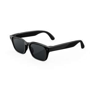Meta Glasses Adventurer Classic Black Frame Polarised Lens