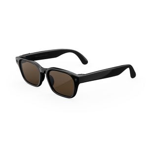 Meta Glasses Adventurer Classic Black Frame Brown Lens