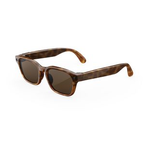 Meta Glasses Adventurer Classic Tortoise Frame Brown Lens