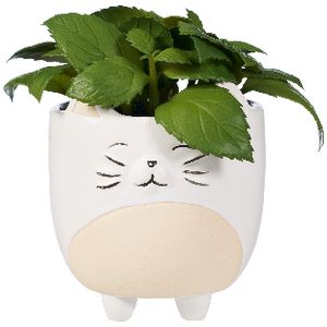 Otto Succulent Cat Planter