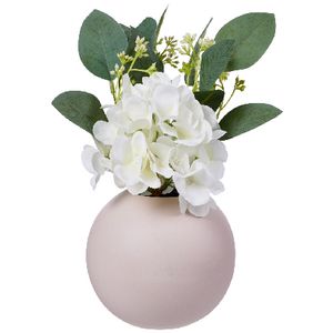 Otto Hydrangea in Round Pot