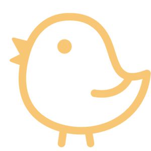 Colour-Apricot Orange