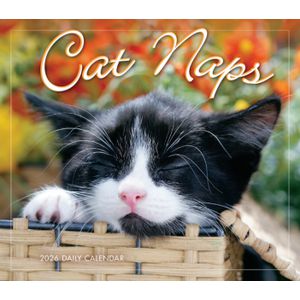 Brown Trout Cat Naps Boxed Calendar 2026