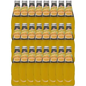 Schweppes Mineral Water Orange Mango 300mL 24 Pack