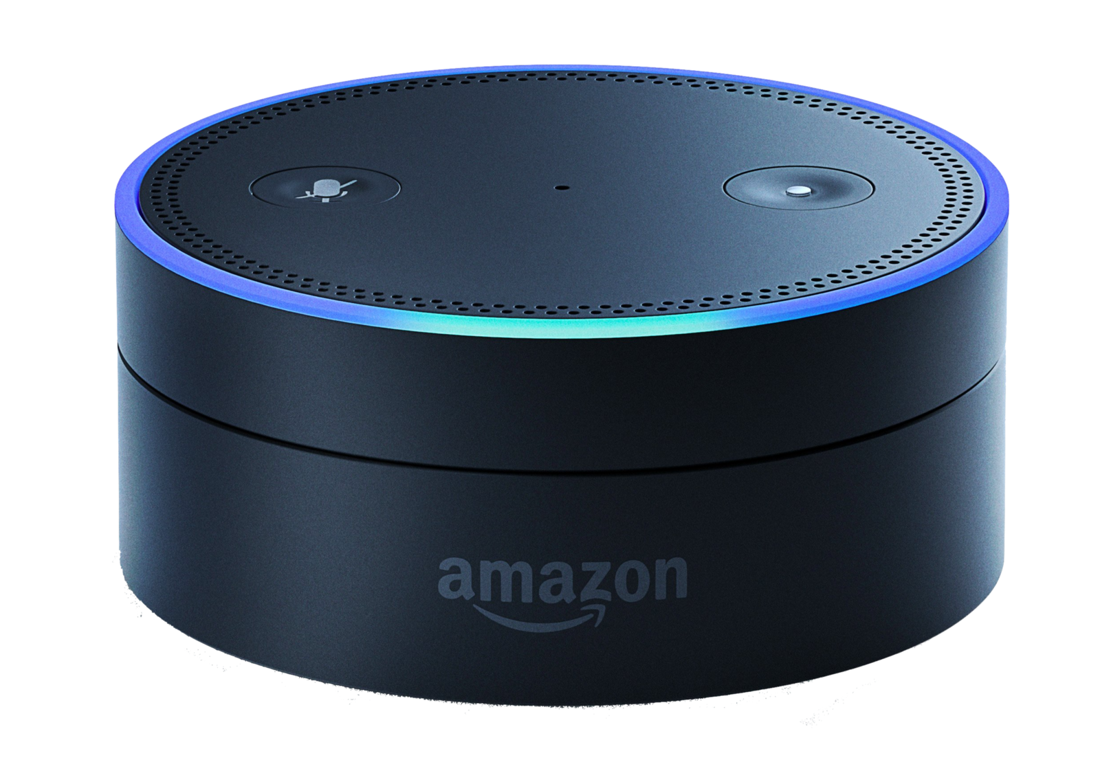 Voice App Development