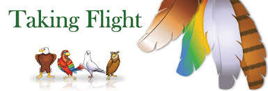 Take Flight with DISC - Talent Tools