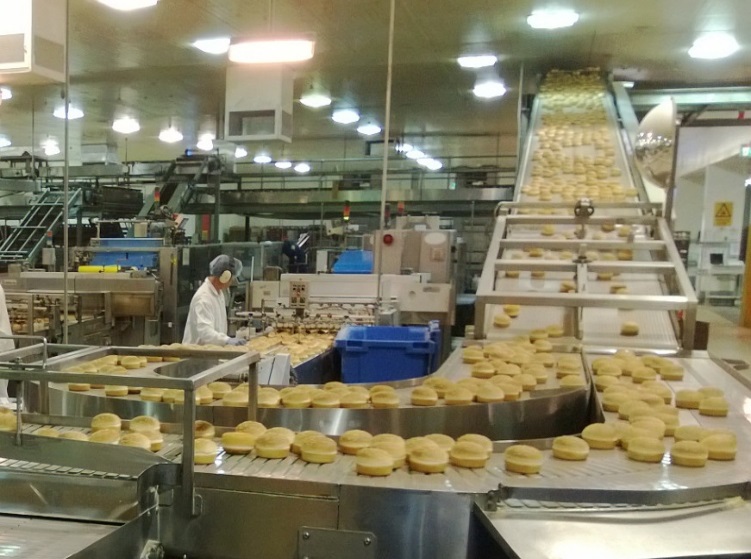 Bakery Conveying Systems Food Industry Conveyors