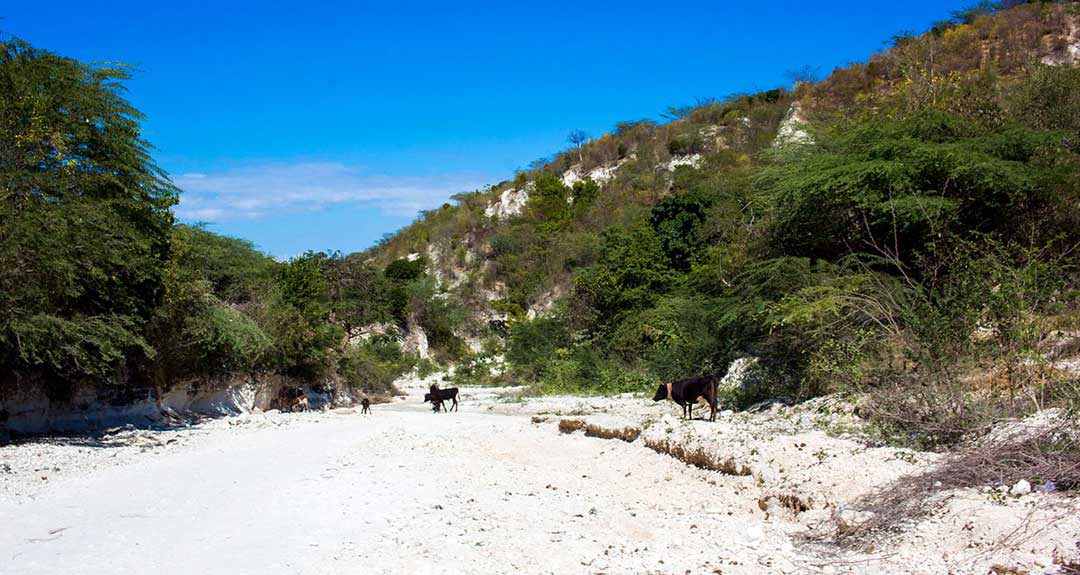 THIRST: Searching for Clean Drinking Water on a Desert Island