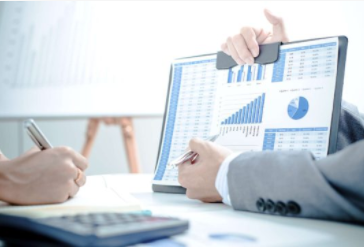 business portfolio
