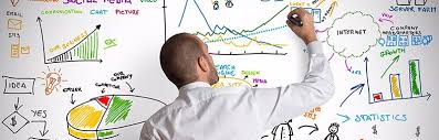 business portfolio
