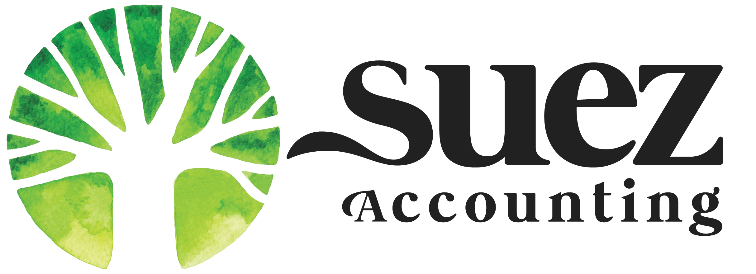 business portfolio