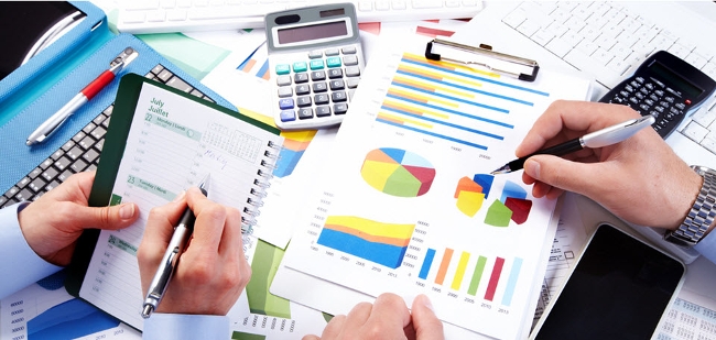 business portfolio