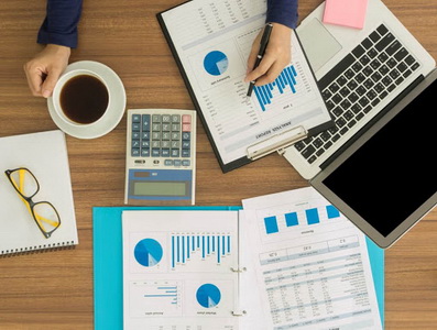 business portfolio