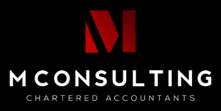 business portfolio