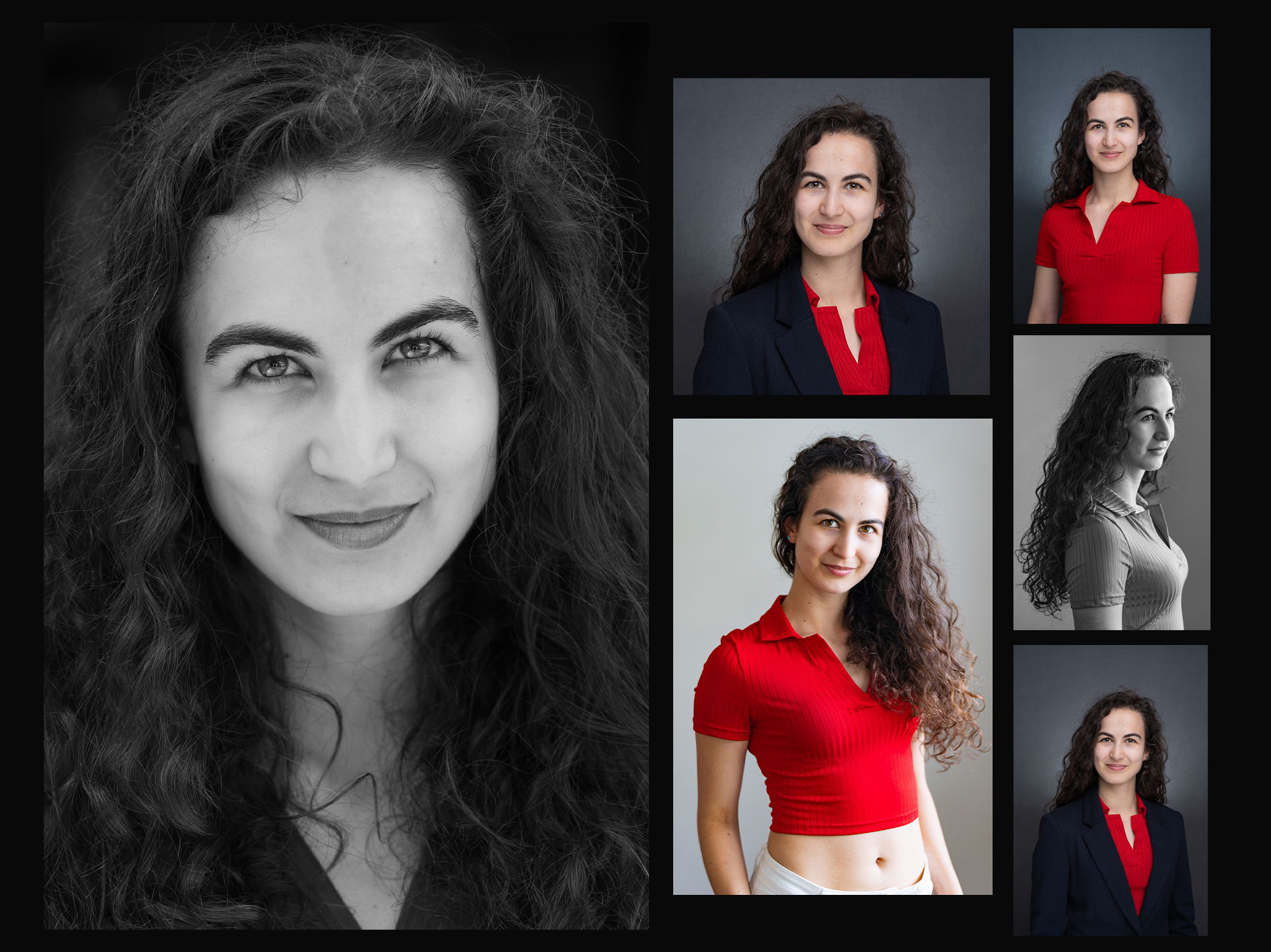 business portfolio