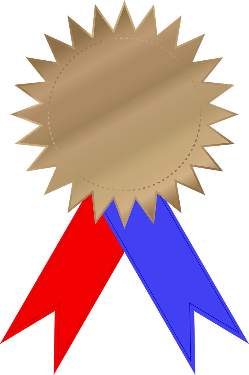 bronze medal