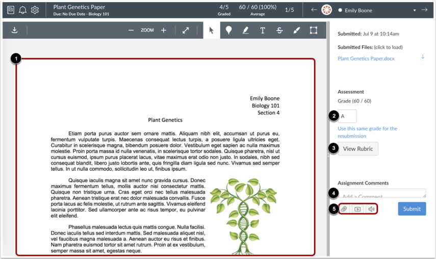 A screenshot of SpeedGrader