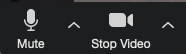 Screenshot of microphone and video options toggled on