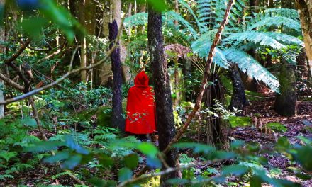 Blue Mountains marriage of art and culture