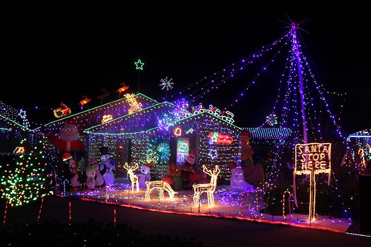 Magical Christmas lights in Melbourne | True Local Blog