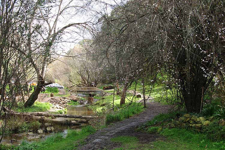 Heysen Trail Walk