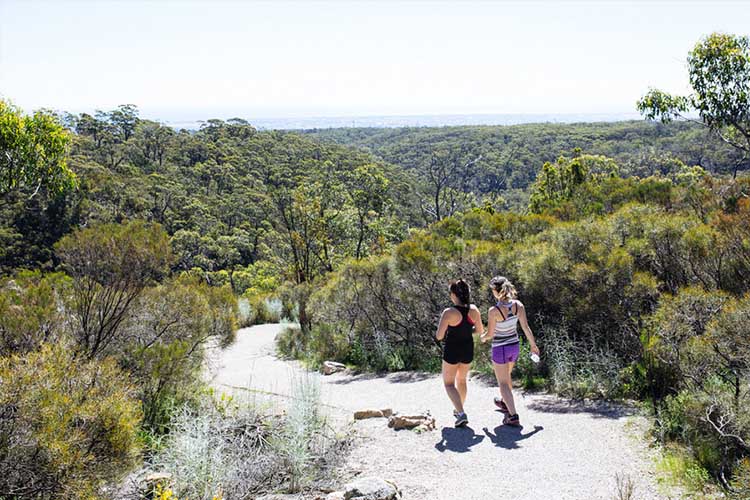 Waterfall Gully to Mount Lofty Hike