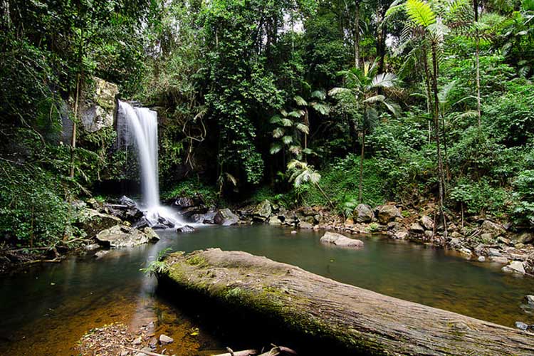 Curtis Falls Curcuit