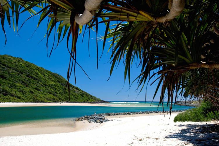 tallebudgera creek