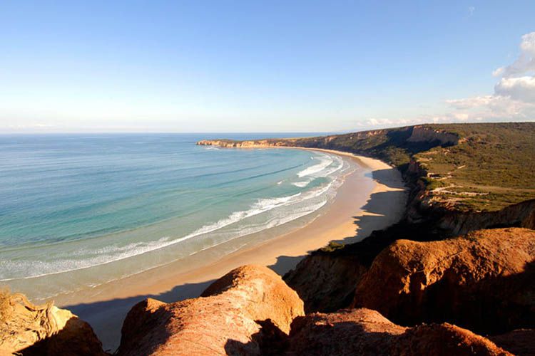 point addis
