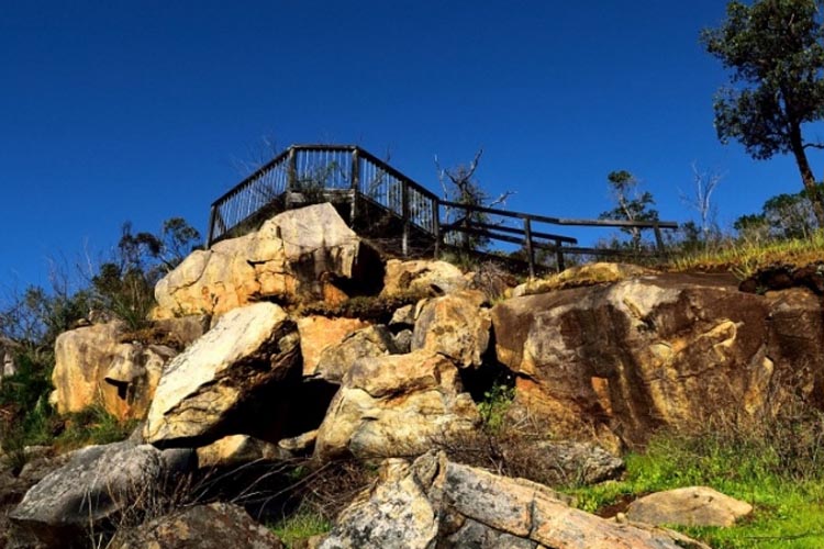 Numbat Trail