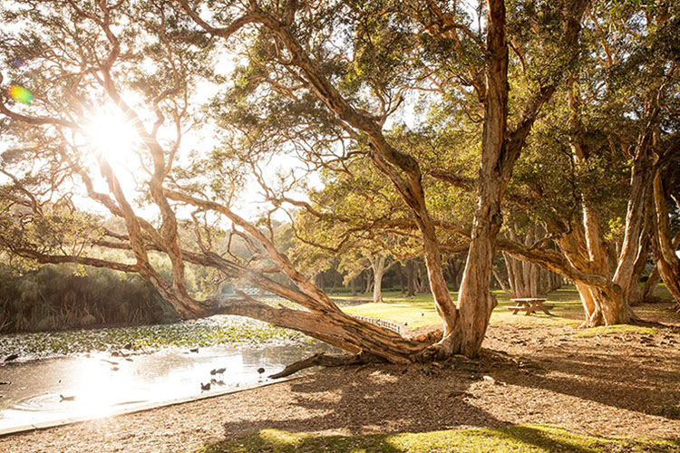 Centennial Parklands