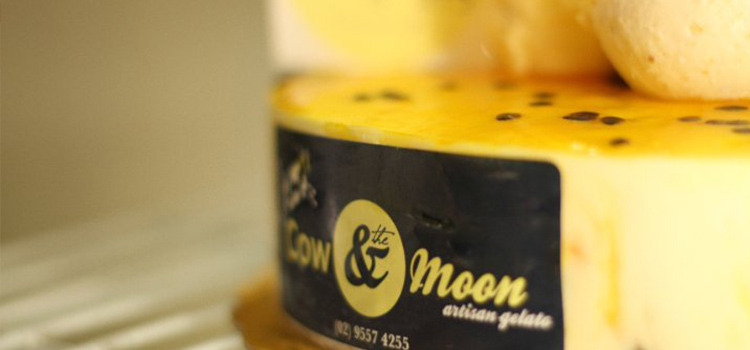 Cow and Moon Facebook