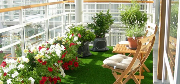 turfgrass