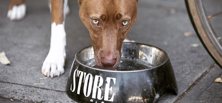 Image credit: Store Espresso Facebook