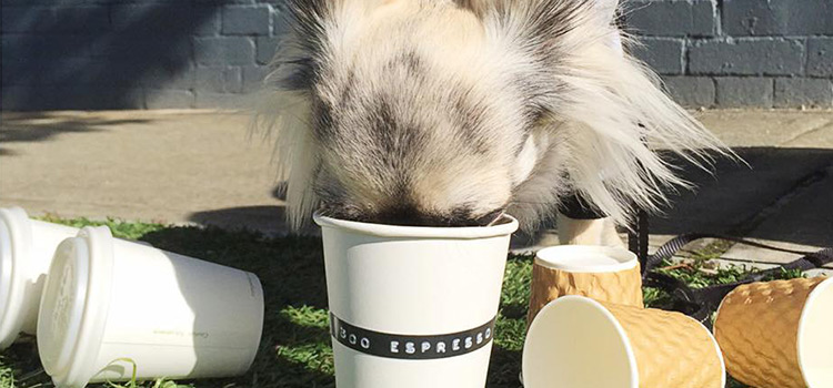 Image credit: Boo Espresso Facebook