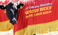 Try_your_luck_on_Carlton_Draught’s_Massive_Meat_Wheel Carlton-Draught-Wagyu-Beef-125-small_New