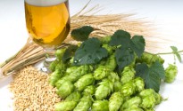 Keeping_Beer_Fresh_Longer hops_grain_and_beer
