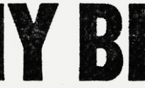 JimmyBringscomau_ _A_New_Home_Delivery_Service_(Sydney,_NSW_with_view_to_be_national)_With_A_Twist logo