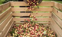 Australian Cider Awards 2019: entries open Australian Cider Awards 2019