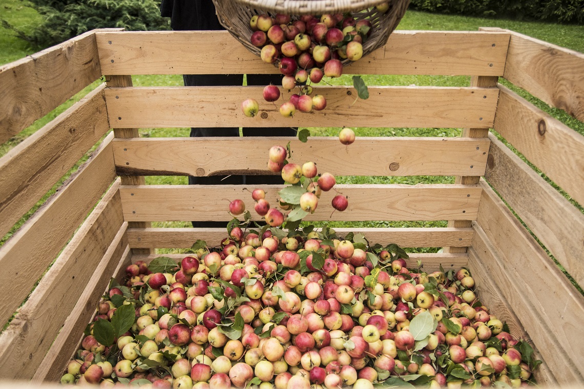 Aussie craft cider industry to receive $500k Government boost Australian Cider Awards 2019