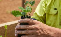 Hop Products Australia reports solid growth HPA