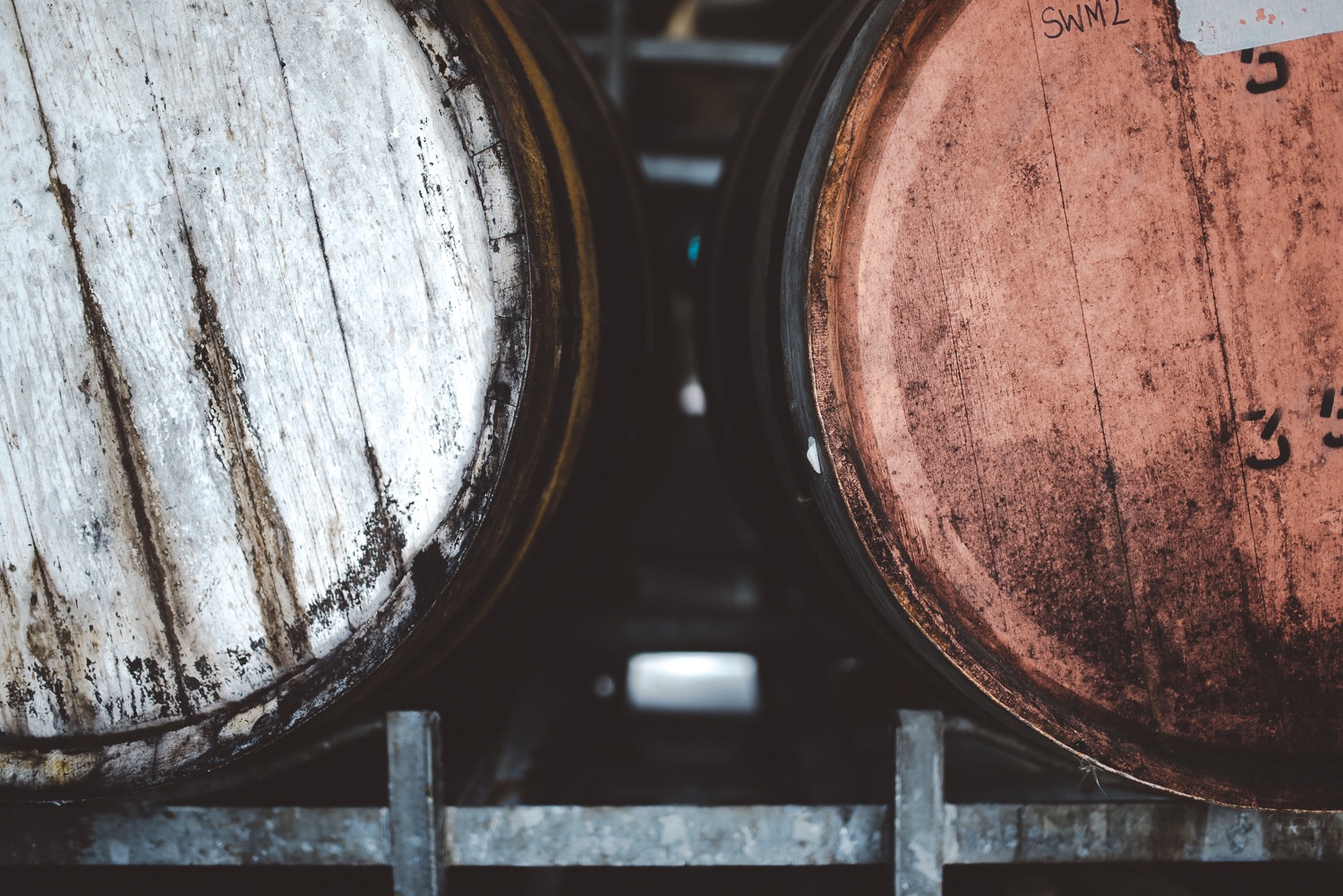 Blobfish: a new sour and wild beer festival Blobfish