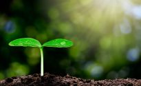 DB Breweries announces bold sustainability ambitions
