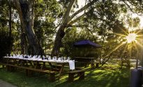 Treasure of South Australia: A brewery tour or regional South Australia Regional Barossa