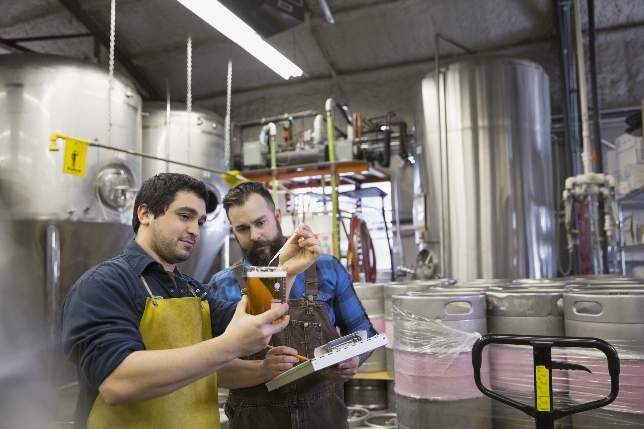TAFE NSW opens up its 2020 brewing intake Brewery workers examining beer in beaker