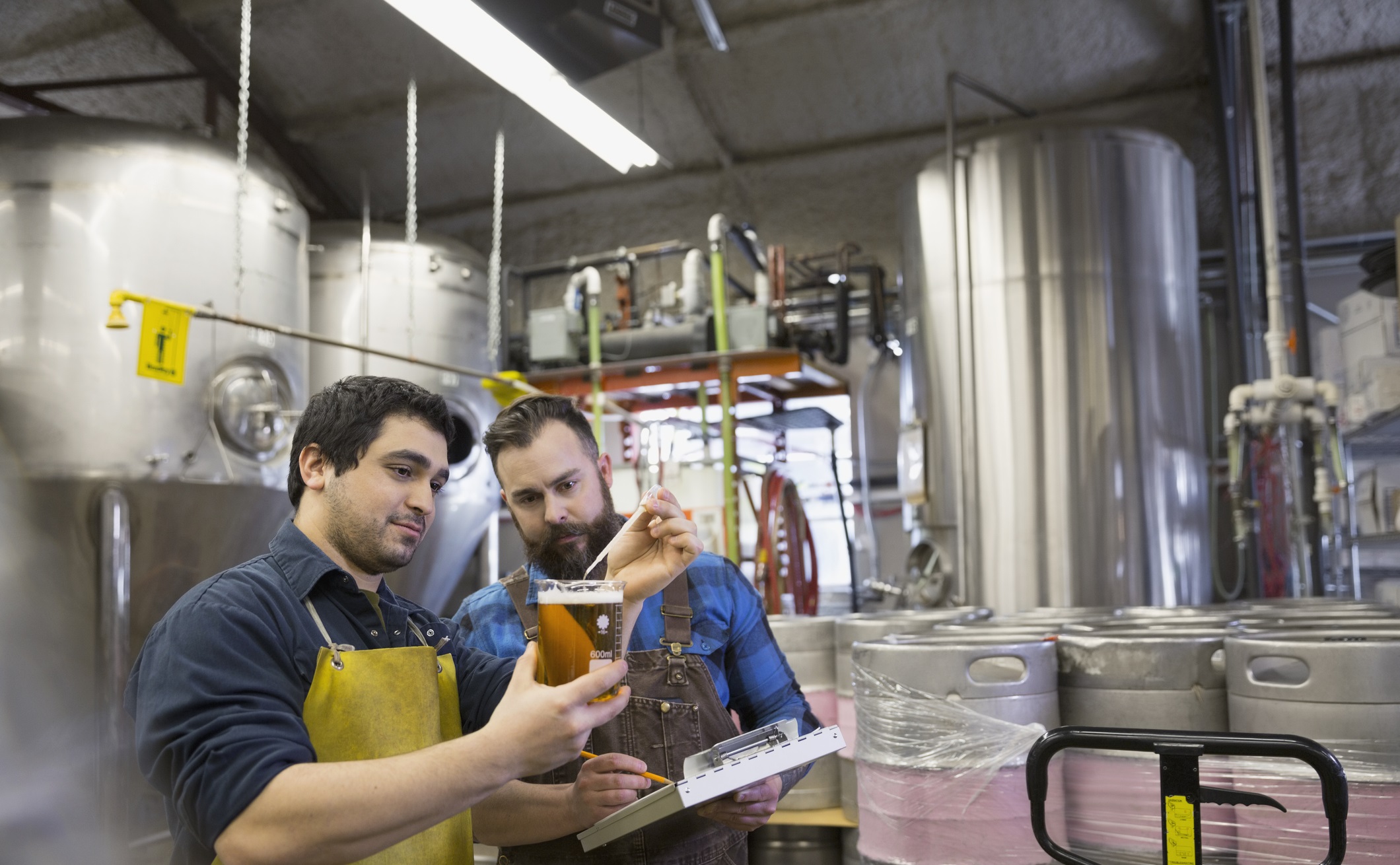 TAFE NSW opens up its 2020 brewing intake Brewery workers examining beer in beaker