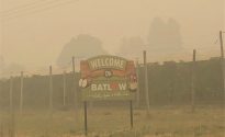 Industry rallies to support bushfire relief Fires-Batlow1