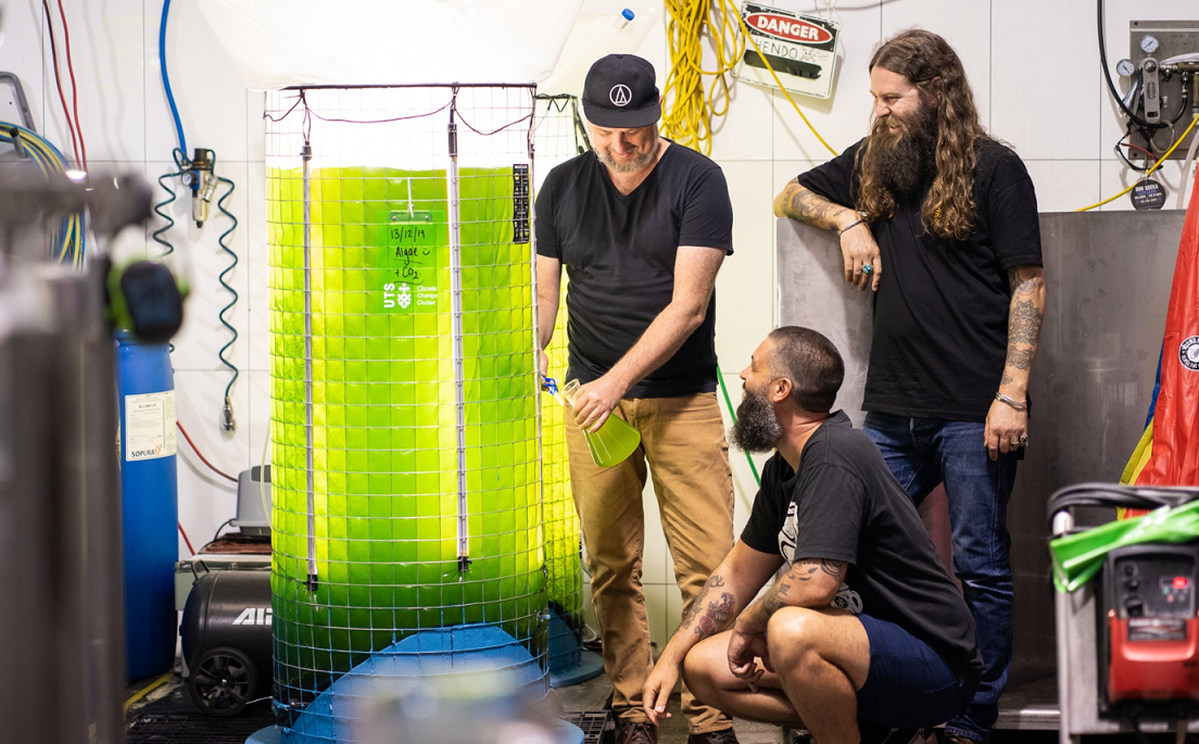 Young Henrys to consume waste CO2 with algae Young Henrys Algae