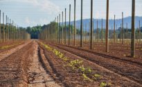 HPA completes phase one of $35 million expansion HPA Expansion 2 - Simon Anderson