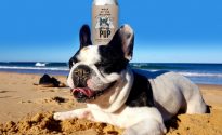THIS WEEK’S NEW DRINK RELEASES Gif_Dog_resize